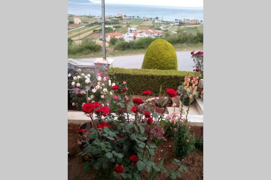 Villa Roses-Mourteri Bagian luar foto