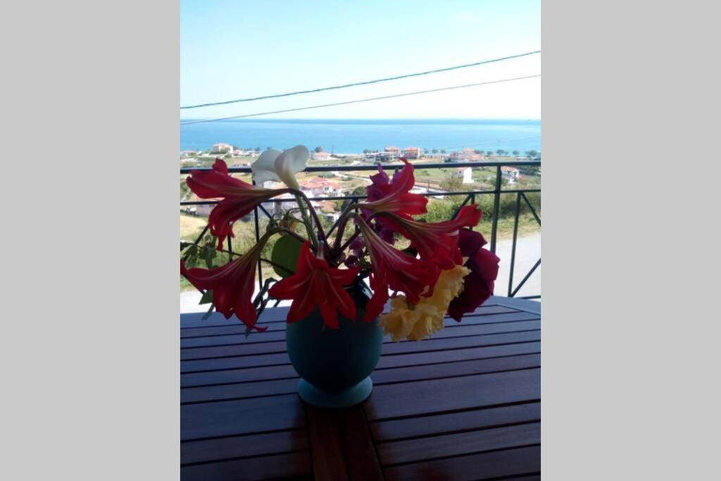 Villa Roses-Mourteri Bagian luar foto